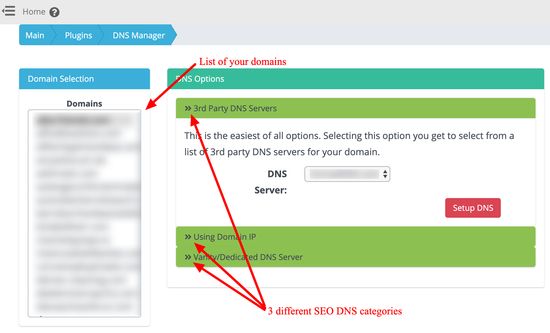 Smart SEO DNS Manager - Κύρια διεπαφή